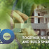 10 years of technical solutions for a smarter way to build energy-efficient